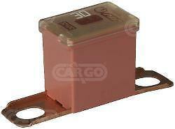 30 Amp Pal Japanese Fuse Slow Blow 283 Series Pink 12V 24V 32V Cargo 191633 - Mid-Ulster Rotating Electrics Ltd